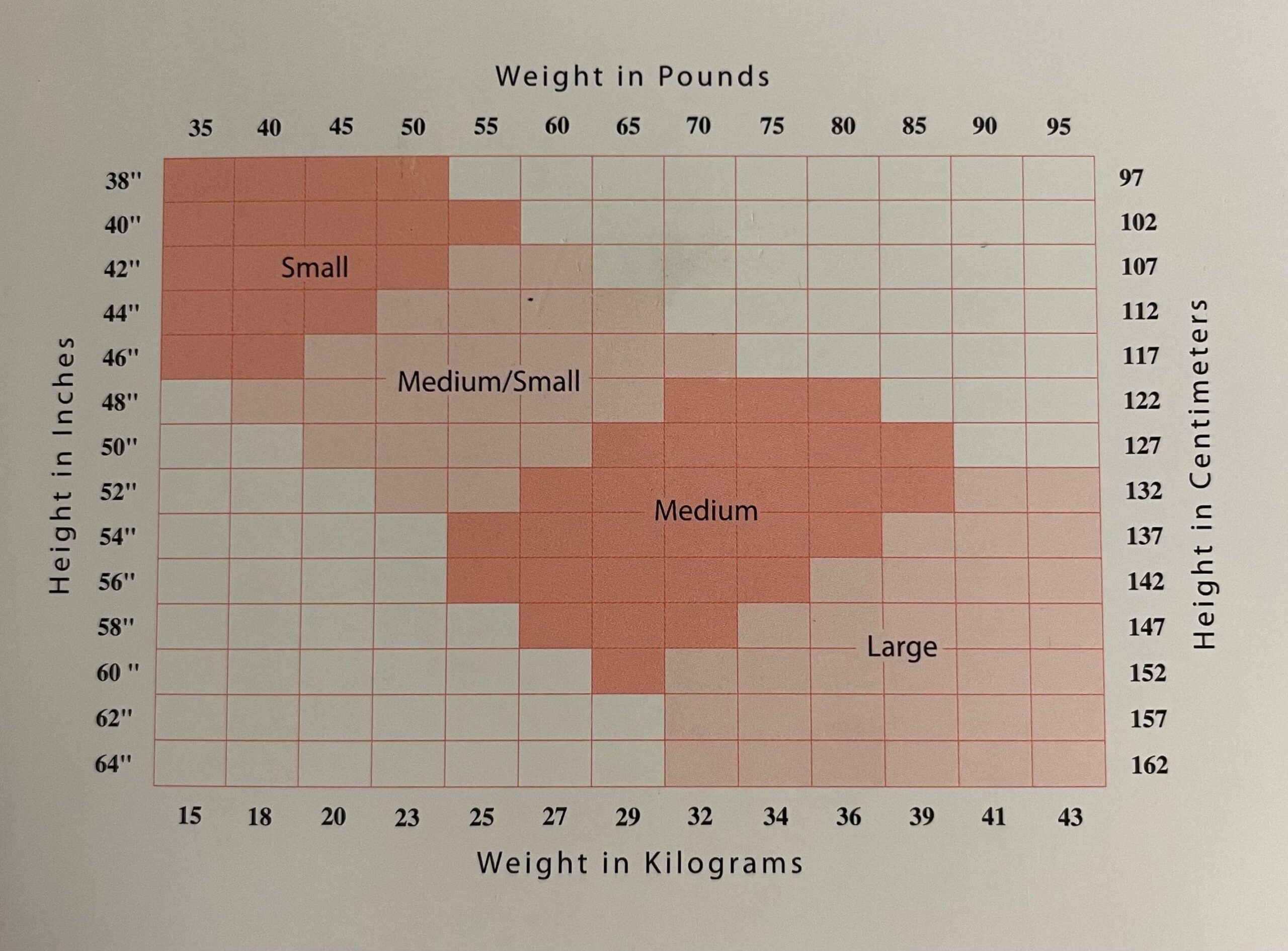 Capezio glanspanty met voet 1808C - Afbeelding 3